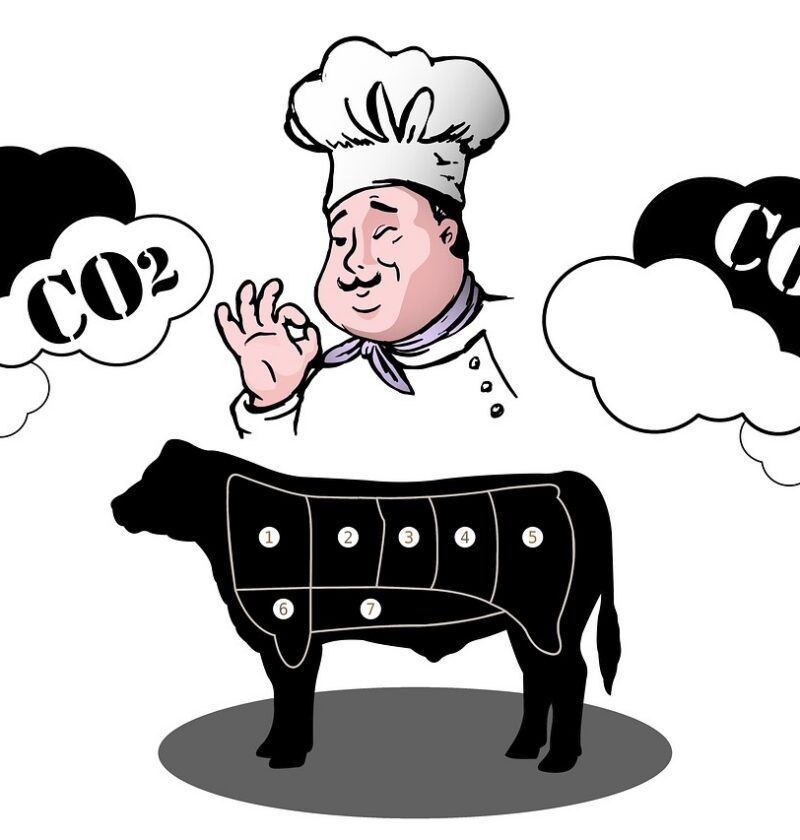 découvrez ce qu'est l'empreinte carbone, son impact sur l'environnement, et comment la réduire au quotidien pour un avenir plus durable.