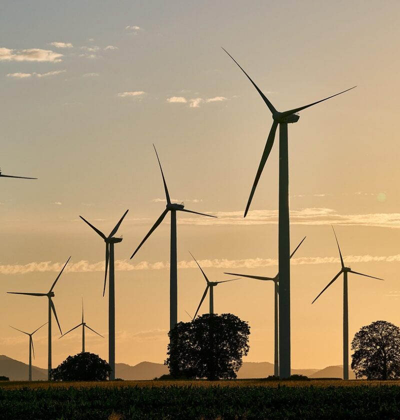 découvrez comment adopter une alimentation durable qui respecte l'environnement, favorise la santé et soutient les communautés locales.